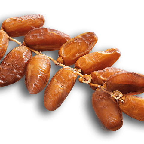 Premium Algerian Deglet Nour Dates (Branches)